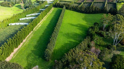 /international/nz/75-riddell-road-kerikeri-far-north-380066111142/
