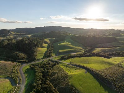 /international/nz/palliser-downs-drive-wainui-gisborne-380066076576/