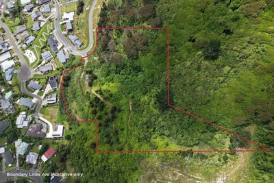 /international/nz/waikanae-kapiti-coast-380066094070/