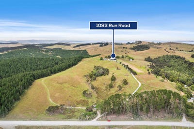 /international/nz/1093-run-road-wellsford-rodney-380066075671/