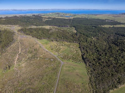 /international/nz/makarau-rodney-380066083601/