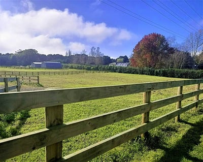 /international/nz/477-kuranui-road-morrinsville-matamata-piako-380066120651/