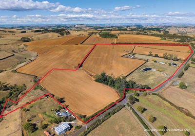 /international/nz/106-andrews-road-onewhero-franklin-380066076436/