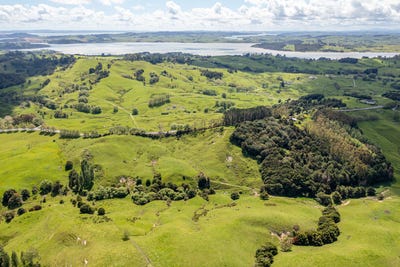 /international/nz/wellsford-rodney-380066117226/