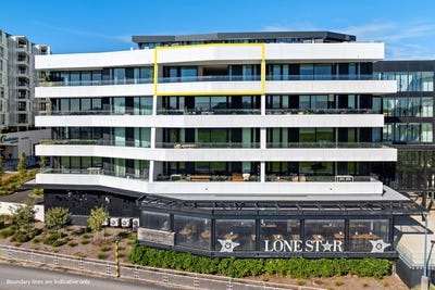 /international/nz/epsom-auckland-city-380066109686/