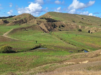 /international/nz/pongaroa-tararua-380066081675/