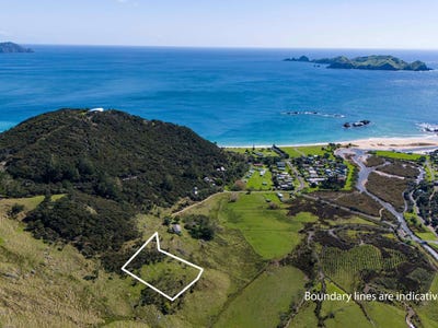 /international/nz/27-tauranga-bay-beach-road-kaeo-far-north-380066077565/
