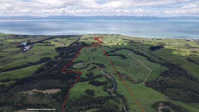 /international/nz/kaiaua-franklin-380066078536/