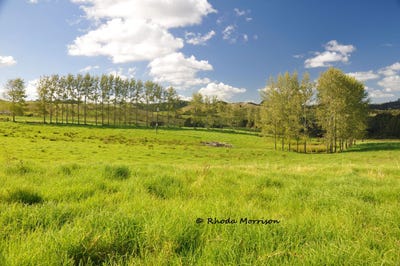 /international/nz/113-te-rawhiti-road-matakohe-kaipara-380066112029/