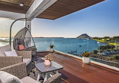 /international/nz/tauranga-central-tauranga-380066089707/