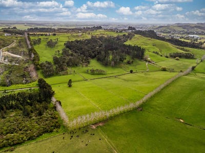 /international/nz/133-okahu-road-kaitaia-far-north-380066081736/