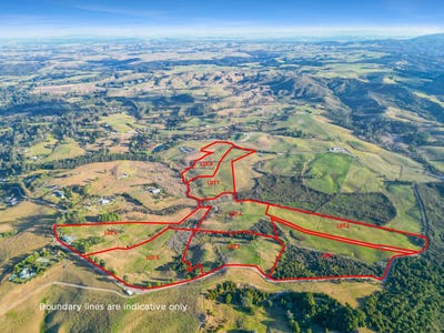 /international/nz/83-caprine-road-kerikeri-far-north-380066089518/