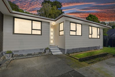 /international/nz/birchville-upper-hutt-city-380066103423/