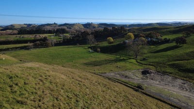 /international/nz/taradale-napier-city-380066119206/