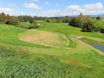 /international/nz/32-weber-road-dannevirke-tararua-380066076469/