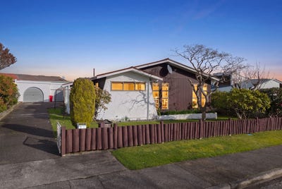 /international/nz/brown-owl-upper-hutt-city-380066169283/