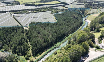 /international/nz/te-puke-western-bay-of-plenty-380066180253/