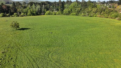 /international/nz/84326-state-highway-2-eketahuna-tararua-380066083484/