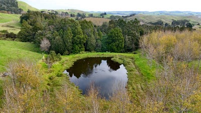 /international/nz/4062-kaipara-coast-highway-tauhoa-rodney-380066084160/