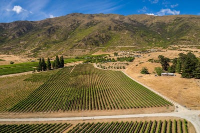 /international/nz/gibbston-queenstown-380066109033/