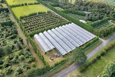 /international/nz/65-tatton-road-maungatapere-whangarei-380066121857/