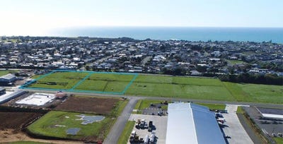/international/nz/67-connett-road-bell-block-new-plymouth-380066151974/