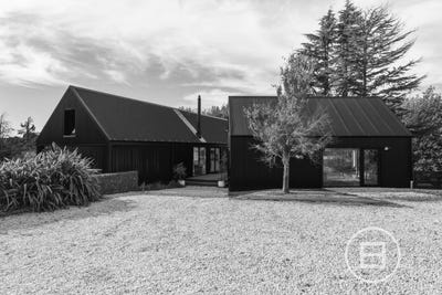 /international/nz/forestry-road-ashley-waimakariri-380066105552/