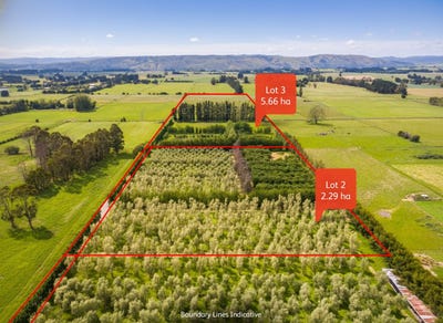 /international/nz/179-bidwills-cutting-road-greytown-south-wairarapa-380066102225/