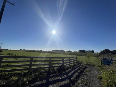 /international/nz/bulls-rangitikei-380066077012/