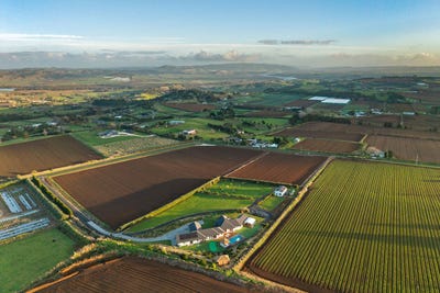 /international/nz/40-bayly-road-pukekohe-franklin-380066116860/