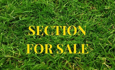 /international/nz/31-mcmenamin-place-fairview-heights-north-shore-city-380066118058/