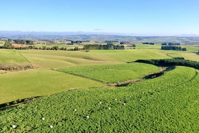 /international/nz/tapanui-clutha-380066078938/