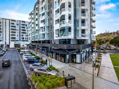 /international/nz/223-greenlane-west-epsom-auckland-city-380066128520/