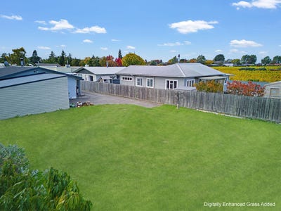 /international/nz/blenheim-central-marlborough-380066096337/