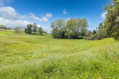 /international/nz/2-pine-road-lichfield-south-waikato-380066107772/