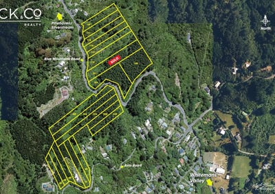 /international/nz/blue-mountains-upper-hutt-city-380066085049/