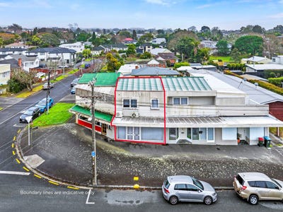 /international/nz/21-garland-road-greenlane-auckland-city-380066181952/