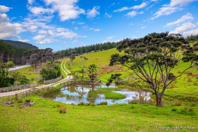 /international/nz/1089-run-road-wellsford-rodney-380066078680/