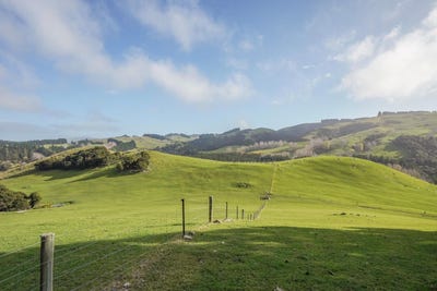 /international/nz/782-glendhu-road-greta-valley-hurunui-380066082836/