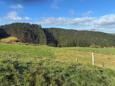 /international/nz/kokopu-whangarei-380066180227/