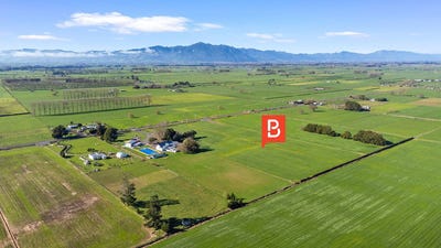 /international/nz/morrinsville-matamata-piako-380066168276/