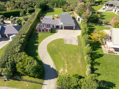 /international/nz/marua-palm-grove-mount-marua-wellington-380066089522/