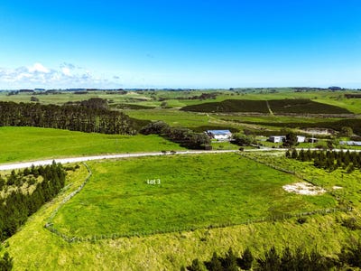 /international/nz/lot-3-babylon-coast-road-dargaville-kaipara-380066080016/