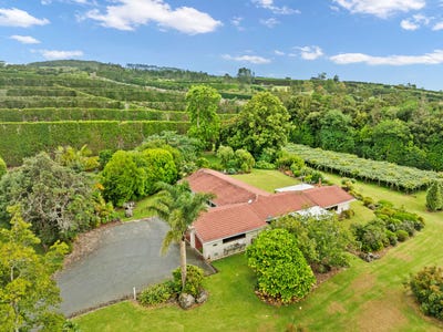 /international/nz/1614-state-highway-14-maungatapere-whangarei-380066106718/