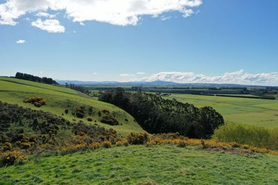 /international/nz/oamaru-waitaki-380066082628/
