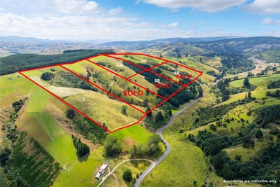 /international/nz/0-blue-spur-road-gabriels-gully-estate-lawrence-clutha-380066100952/