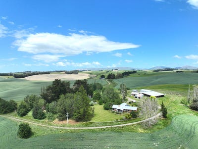 /international/nz/dumfries-road-taumata-clinton-and-surrounds-otago-380066085524/