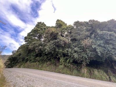 /international/nz/kaiata-grey-380066079595/