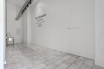 /international/nz/396-queen-street-auckland-central-auckland-city-380066128699/