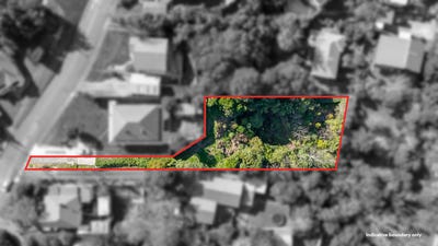 /international/nz/ranui-waitakere-city-380066103706/